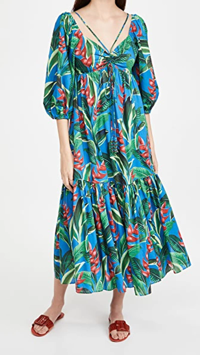 Farm Rio Dream Garden Floral Cotton Midi Dress In Blue/green