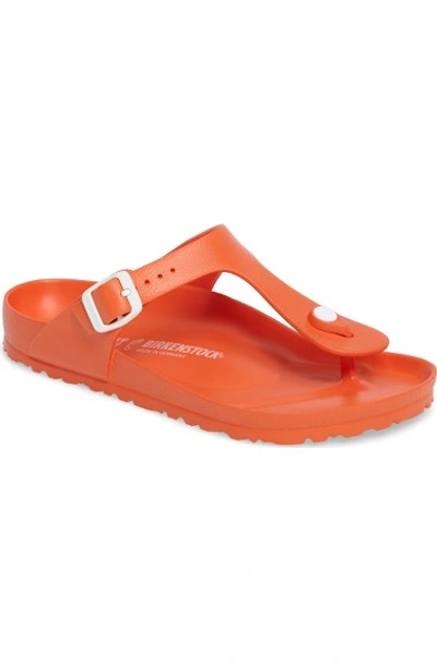 Birkenstock Essentials - Gizeh Flip Flop In Scuba Coral