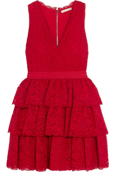 Alice And Olivia Clora Tiered Corded Lace Mini Dress In Nocolor