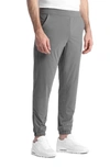 Public Rec Stadium Joggers In Storm Grey