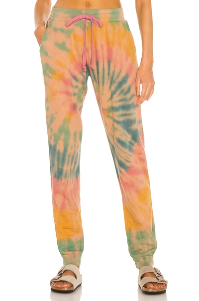 Strut This Frenchie Jogger In Java Paint