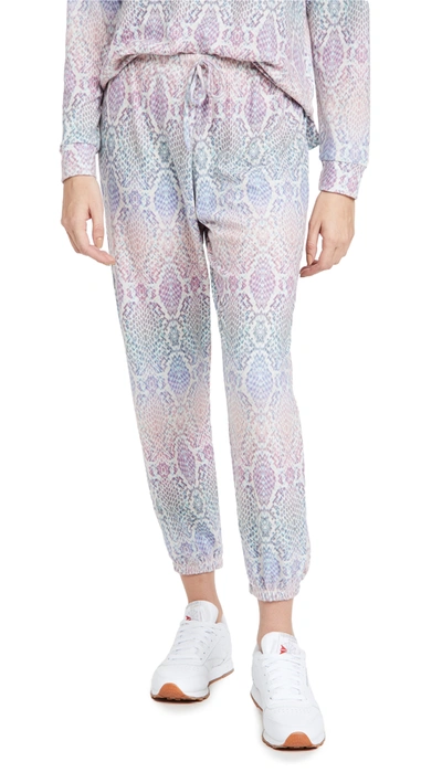 Onzie Weekend Sweatpants In Rainbow Snake