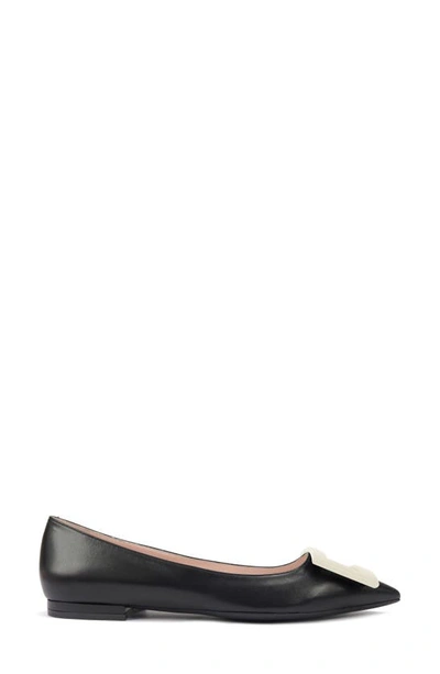 Roger Vivier Gommettine Buckle Pointed Toe Flat In Black