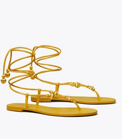 Capri Flat Lace-Up Sandal: Women's Shoes, Sandals