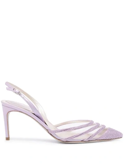 René Caovilla Vivienne 80mm Crystal-embellished Pumps In Purple