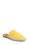 27 Edit Candice Mule In Yellow Suede