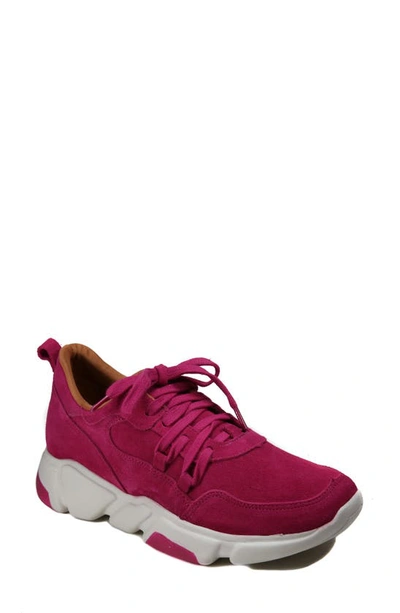 Band Of Gypsies Sneaker In Fucshia Suede