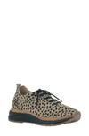 Otbt Alstead Perforated Sneaker In Cheetah Print Suede