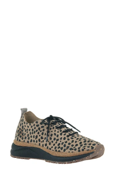 Otbt Alstead Perforated Sneaker In Cheetah Print Suede