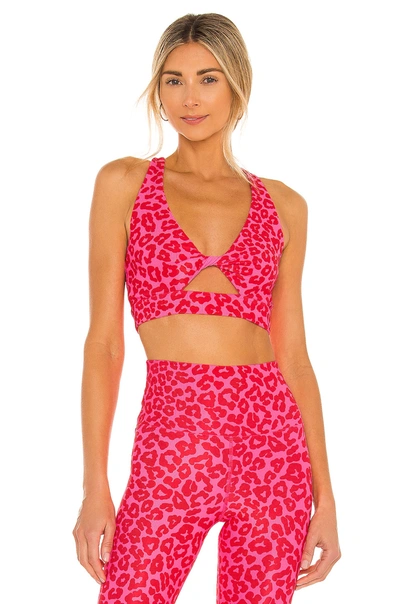 Beach Riot Twist Leopard Print Ribbed Sports Bra In Famous High Risk Red  Leopard