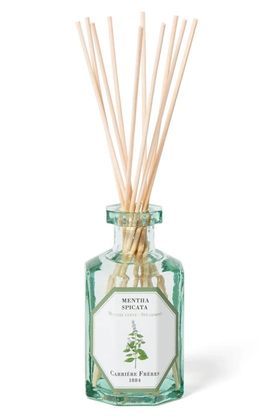 Carriere Freres Orange Blossom Reed Diffuser In Spearmint