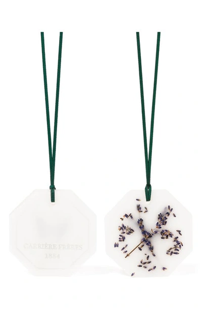 Carriere Freres Botanical Palets In Lavender