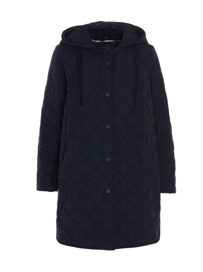 Weekend Max Mara Water-repellent Technical Fabric Down Jacket In Blue