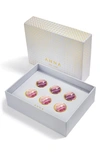 Anna New York Fluorite Wine Gems In Flourite