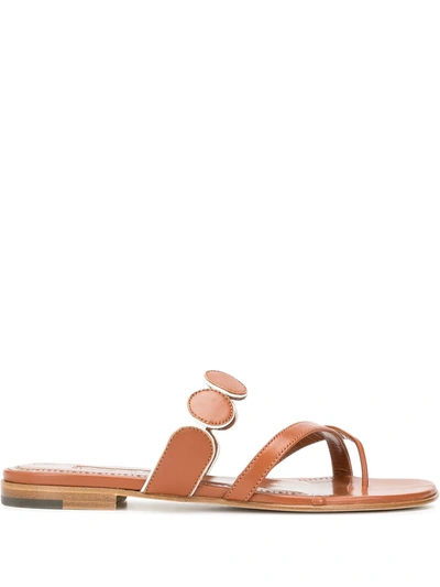 Manolo Blahnik Harisa Leather Thong Sandals In Brown