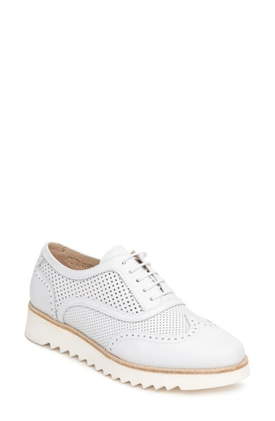 Nerogiardini Perforated Oxford Comfort Loafers In White