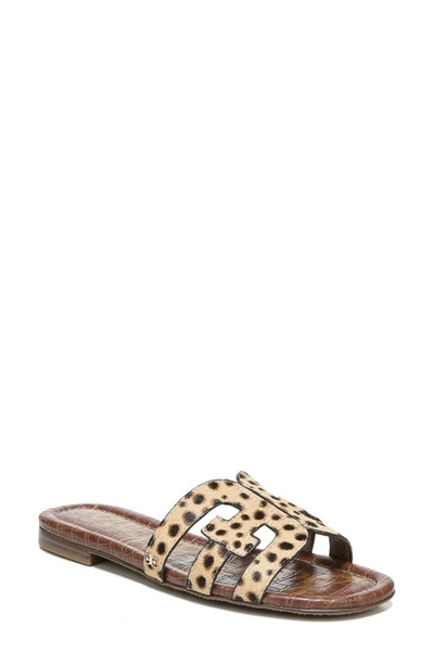 Sam Edelman Women's Bay Leopard Print Calf Hair Slide Sandals In Tan