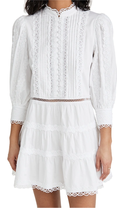 Alice And Olivia Clark High Neck Long Sleeve Cotton A-line Dress In Off White