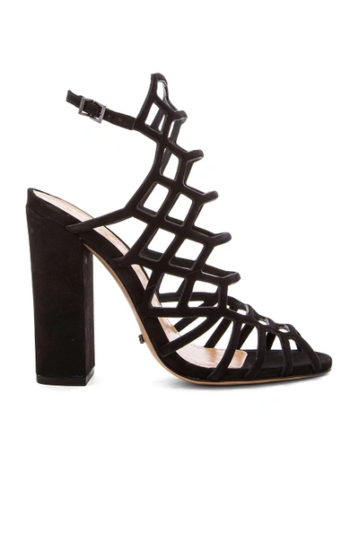 Schutz Jaden Caged Suede Block Heel Sandals In Black