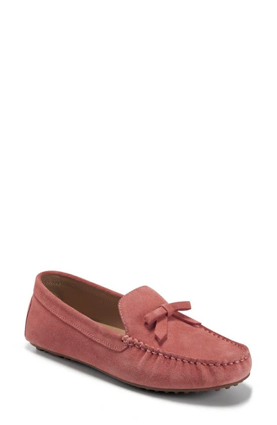 Aerosoles Bowery Loafer In Pink Suede