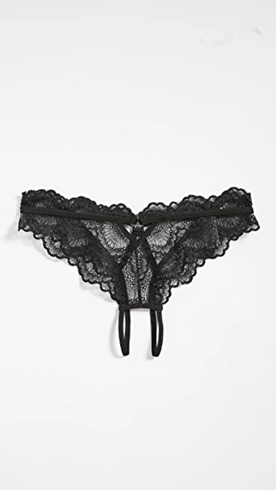Thistle & Spire Kane Overt Bikini Panties In Black