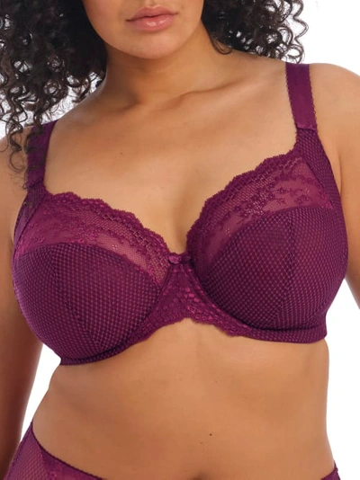 Elomi Full Figure Charley Stretch Lace Bra El4382, Online Only In Fuschia