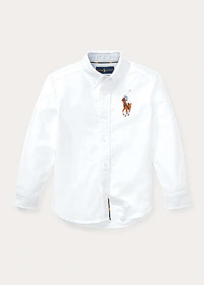 Polo Ralph Lauren Big Pony Cotton Oxford Shirt In Blue
