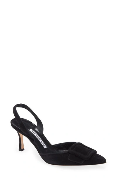 Manolo Blahnik Maysli Buckle Slingback Pointed Toe Pump In Black