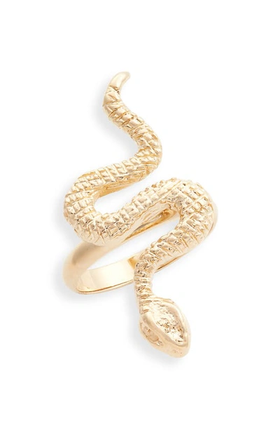 Set & Stones Emmy Snake Ring In Gold