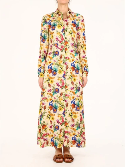 813 Floral Shirt Dress In Multicolor