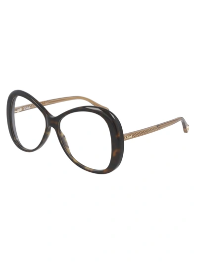 Chloé Ch0011o Eyewear In Havana Brown Transpar