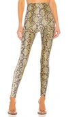 Commando Reptile Embossed Faux Leather Leggings In Neon Snake