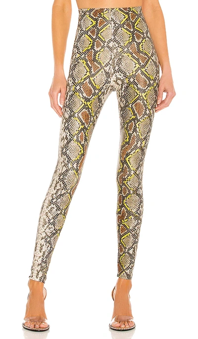 Commando Reptile Embossed Faux Leather Leggings In Neon Snake