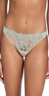 Skarlett Blue Women's Entice Eyelash Lace Trim Thong 371143 In Retro Mint / Terracotta