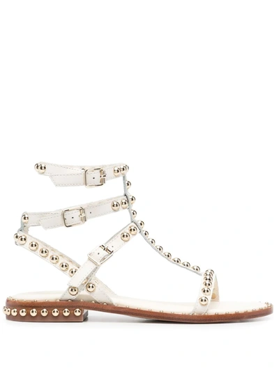 Ash Play Buckle-trio Stud Gladiator Sandals In White