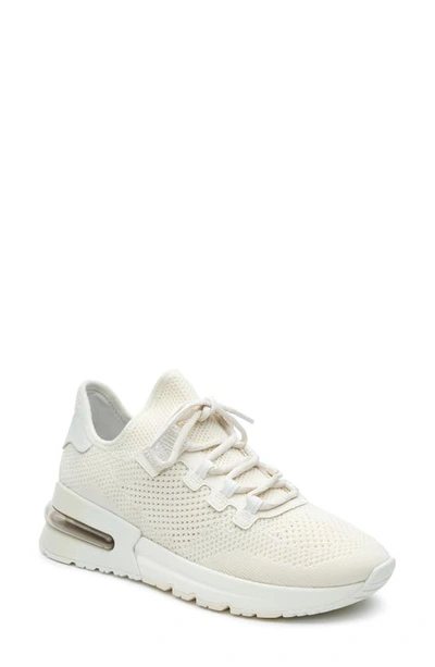 Ash Krush Degrade Sneakers In White Synthetic Fibers In Gardenia