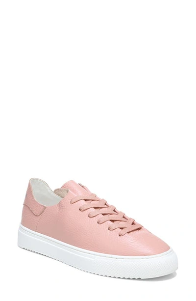 Sam Edelman Women's Poppy Lace-up Sneakers Women's Shoes In Cali Rose Leather