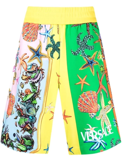 Versace Trésor De La Mer Print Shorts In Multicolor
