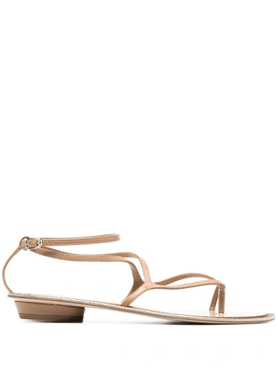 Le Silla Strappy Leather Sandals In Brown