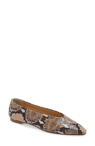 Aeyde Betty Pointed Toe Flat In Snake Print Natural