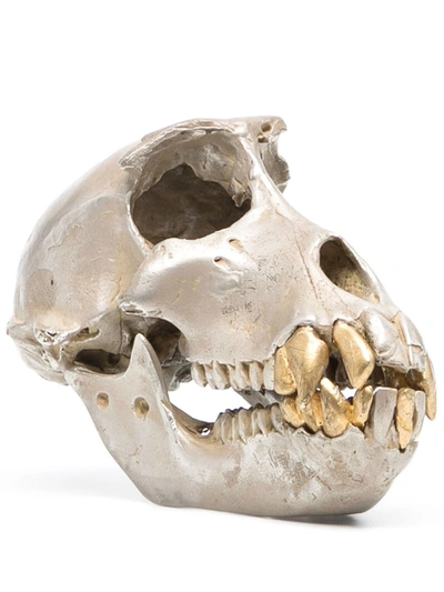 Parts Of Four Monkey Skull Decorative Object In Gold