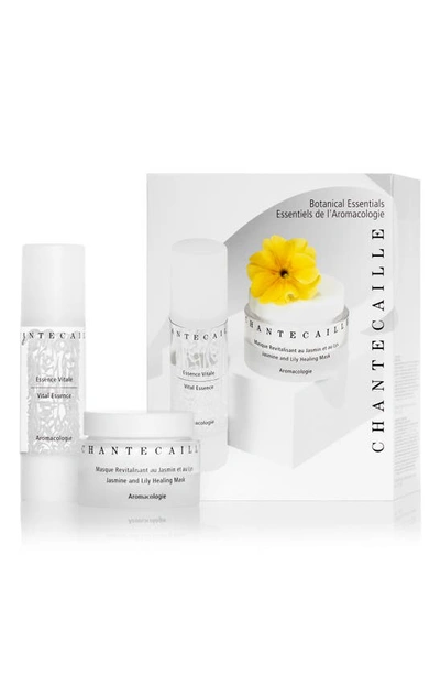 Chantecaille Botanical Essentials Limited Edition Set In Multi