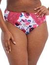 Elomi Morgan Full Brief In Pink Floral