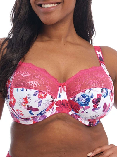 Elomi Full Figure Morgan Banded Underwire Stretch Lace Bra El4110, Online Only In Pink Floral