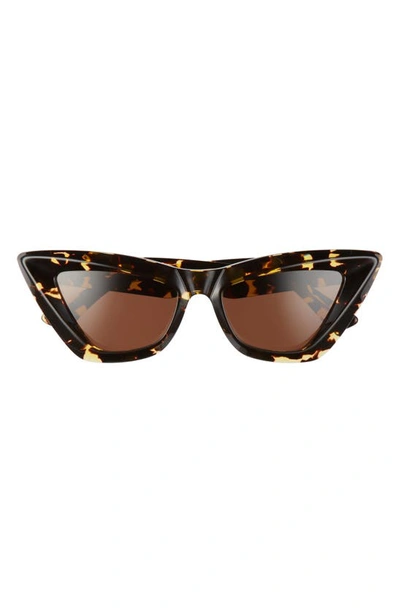 Bottega Veneta 53mm Cat Eye Sunglasses In Havana/ Brown