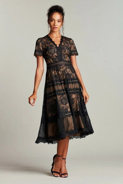 Tadashi Shoji Beatrice Tea Length Dress In Black/ Nude