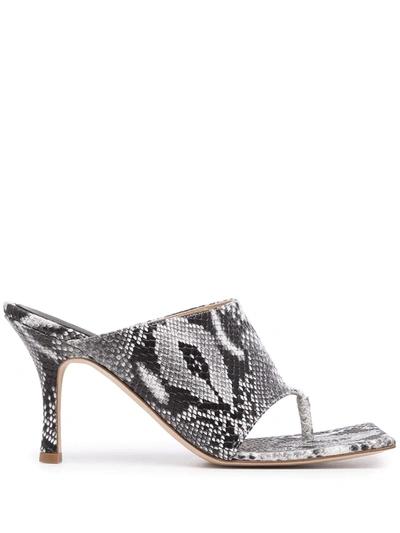 A.w.a.k.e. Katie Square-toe Snakeskin-embossed Leather Thong Sandals In Grey Snake