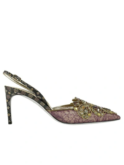 René Caovilla Pumps Shoes Women Rene Caovilla In Plum