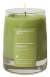 Yield Architect Candle In Entenza