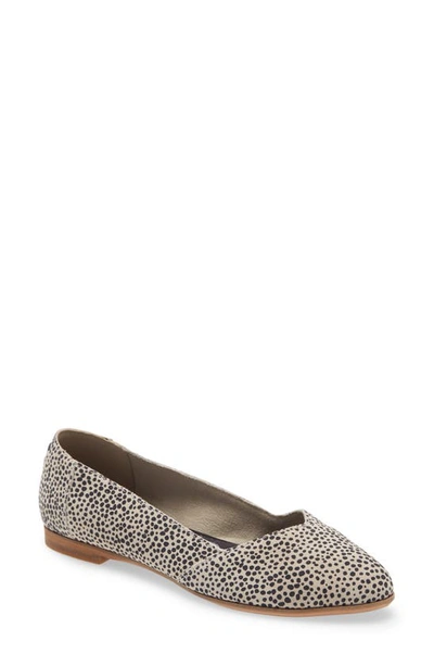 Toms Julie Almond Toe Flat In Beige Suede